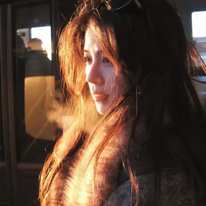 狼（2013）