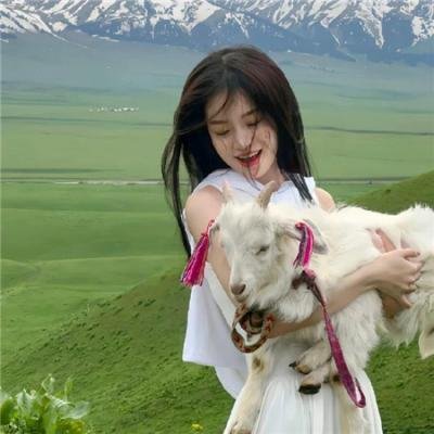 名门暗战国语